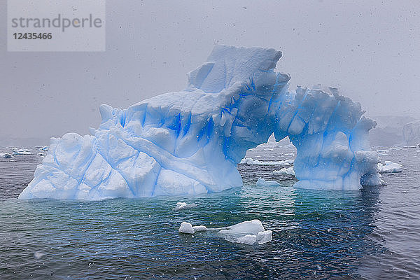 Blauer Eisbergbogen bei Schneewetter  vom Meeresspiegel aus  Waterboat Point  Paradise Bay  Graham Land  Antarktische Halbinsel  Antarktis  Polarregionen
