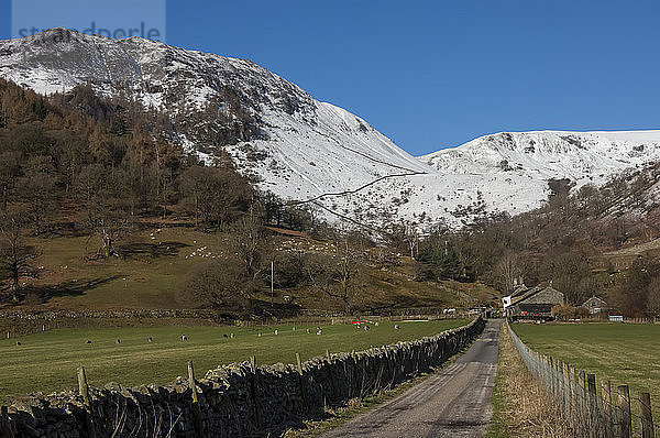 Glencoyne  Ullswater  Lake District National Park  UNESCO-Weltkulturerbe  Cumbria  England  Vereinigtes Königreich  Europa