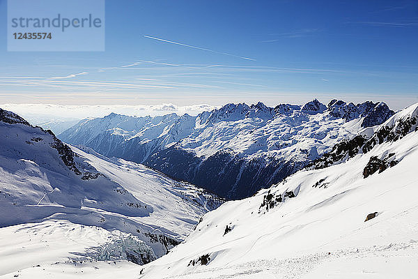 Argentiere-Gletscher und Aiguilles Rouges  Chamonix  Haute Savoie  Rhone-Alpen  Französische Alpen  Frankreich  Europa