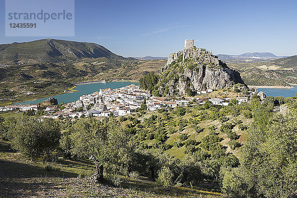 Maurische Burg über weißem Dorf mit Olivenhainen  Zahara de la Sierra  Naturpark Sierra de Grazalema  Andalusien  Spanien  Europa