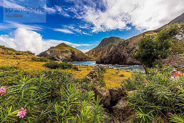 Landschaft auf Saba  einer Karibikinsel  der kleinsten Sondergemeinde der Niederlande  Karibik  Mittelamerika