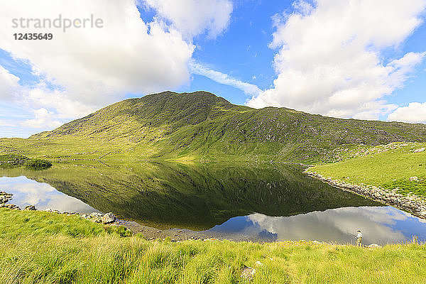 Berge spiegeln sich im Wasser  Killarney National Park  County Kerry  Munster  Republik Irland  Europa