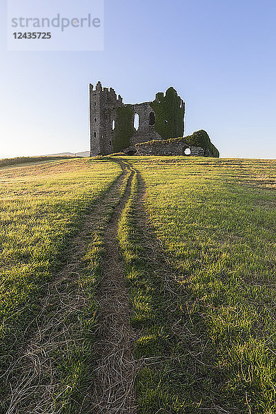 Grasflächen um die Burg Ballycarbery  Cahersiveen  Grafschaft Kerry  Munster  Republik Irland  Europa
