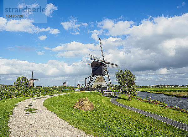 Windmühle in Kinderdijk  UNESCO-Weltkulturerbe  Südholland  Niederlande  Europa