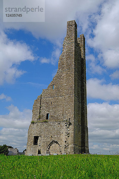 Yellow Steeple  die Ruine des Glockenturms der St. Mary's Abbey  Trim  Grafschaft Meath  Leinster  Republik Irland  Europa