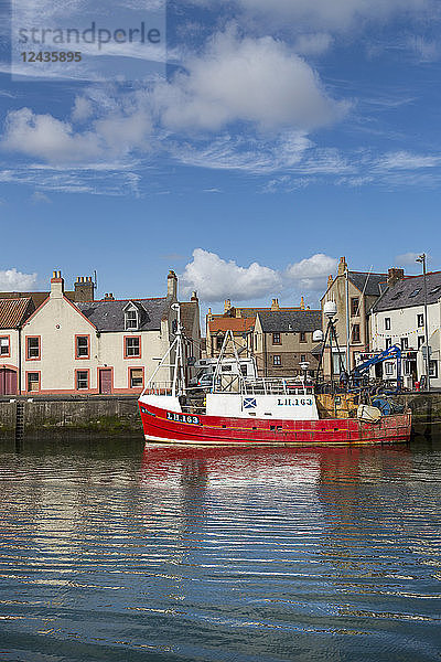 Traditionelles Fischerboot im geschützten Hafen von Eyemouth  Berwickshire  Scottish Borders  Schottland  Vereinigtes Königreich  Europa