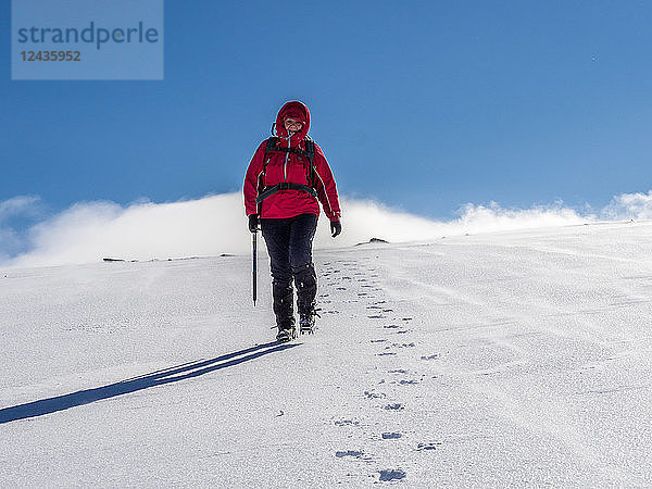 Winterwanderin beim Abstieg von einem frisch verschneiten Hang im Cairngorm National Park  Schottland  Vereinigtes Königreich  Europa