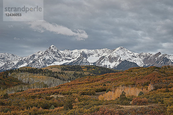 Sneffels Range im Herbst  Uncompahgre National Forest  Colorado  Vereinigte Staaten von Amerika  Nordamerika