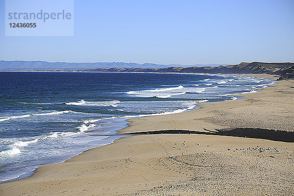 Strand  Monterey Bay  Halbinsel  Monterey  Pazifischer Ozean  Kalifornien  Vereinigte Staaten von Amerika  Nordamerika