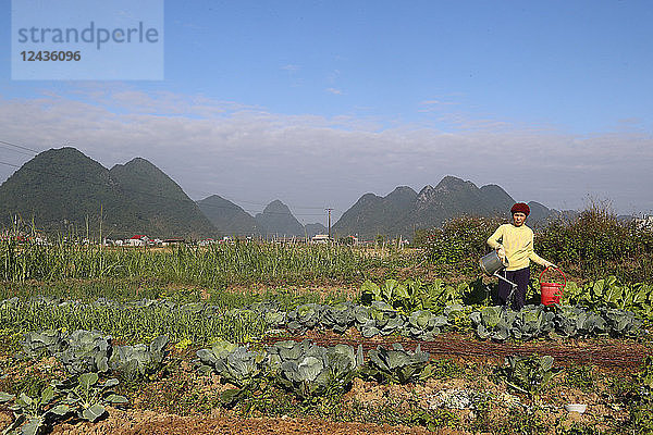 Landwirt bewässert Gemüse auf dem Feld  Bac Son  Vietnam  Indochina  Südostasien  Asien