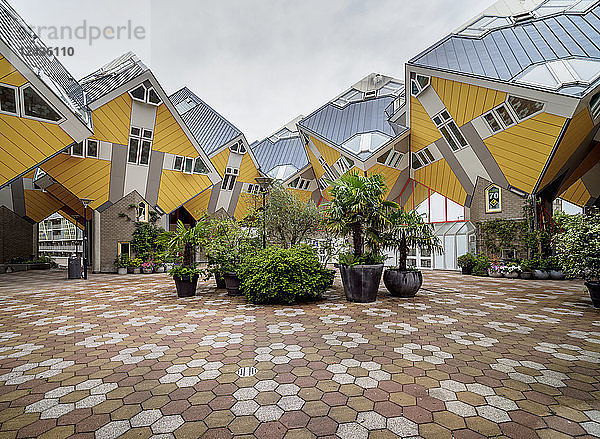 Cube Houses  Rotterdam  Südholland  Die Niederlande  Europa