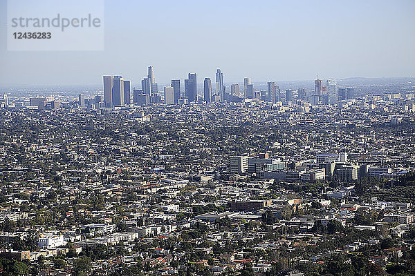 Blick auf die Skyline von Downtown von den Hollywood Hills aus  Los Angeles  Kalifornien  Vereinigte Staaten von Amerika  Nord-Amerika