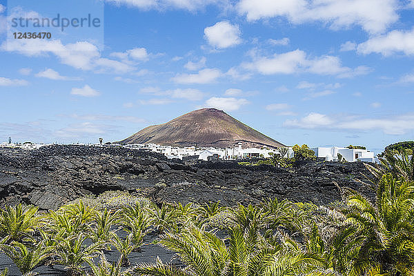 Vulkankegel über den Weinbergen von Lanzarote  Kanarische Inseln  Spanien  Atlantik  Europa