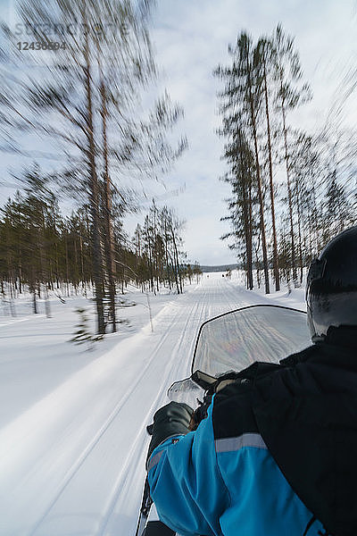 Ältere Reisende auf Schneemobil  die durch die verschwommenen Bäume fährt  Torassieppi  Lappland  Nordfinnland  Europa