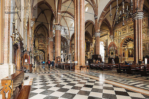 Innenraum des Doms (Cattedrale Santa Maria Matricolare)  Verona  Provinz Venetien  Italien  Europa