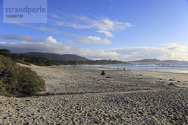 Strand  Carmel by the Sea  Monterey Halbinsel  Pazifischer Ozean  Kalifornien  Vereinigte Staaten von Amerika  Nord Amerika