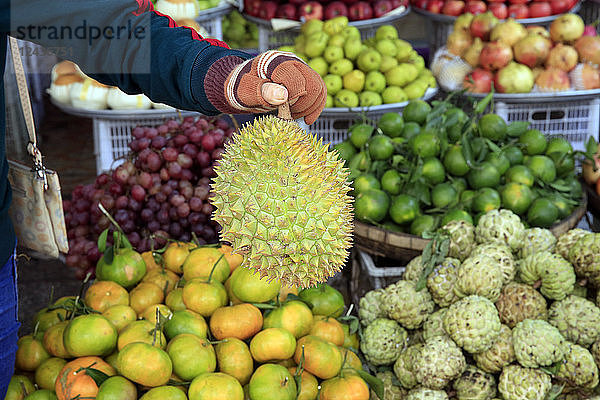 Frau kauft Durian am Stand für tropische Früchte auf dem Morgenmarkt in der Stadt Duong Dong  Phu Quoc  Vietnam  Indochina  Südostasien  Asien