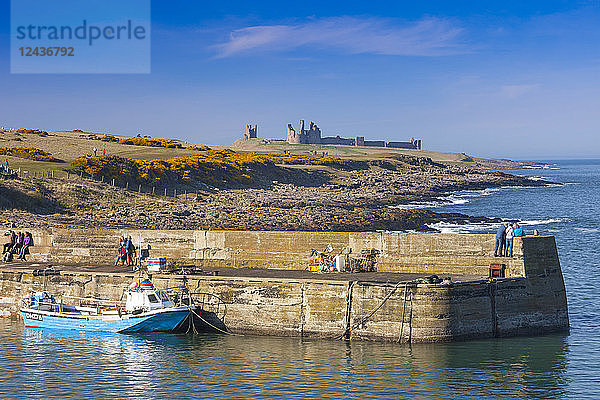 Craster Harbour und Dunstanburgh Castle  Northumberland  England  Vereinigtes Königreich  Europa