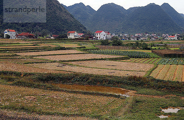 Reisfelder nach der Ernte  Bac Son  Vietnam  Indochina  Südostasien  Asien