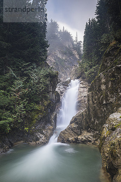 Bear Creek Falls Wasserfall  Glacier National Park von Kanada  British Columbia  Kanada  Nordamerika
