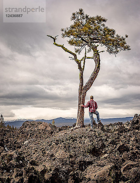 Ein Mann in Flanell und Blue Jeans steht neben einem Solobaum in einem alten Lavafeld  Oregon  Vereinigte Staaten von Amerika  Nordamerika