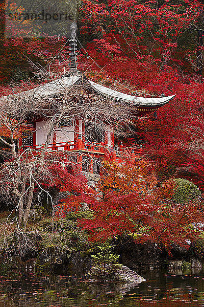Die Bentendo-Halle des Daigo-ji-Tempels  UNESCO-Weltkulturerbe  Kyoto  Japan  Asien