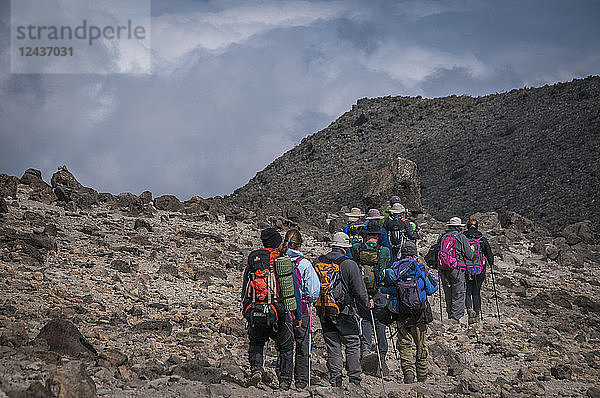Eine Gruppe von Wanderern mit ihrem örtlichen Führer beim Abstieg im Barranco Camp auf der Machame-Route am Kilimandscharo  Tansania  Ostafrika  Afrika