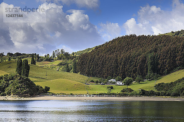 Üppige grüne Hügel und dichter Wald  malerische ländliche Landschaft  Castro-Bucht  Isla Grande de Chiloe  Seengebiet  Chile  Südamerika