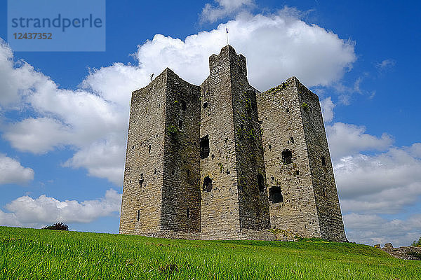 Trim Castle  normannische Burg am Südufer des Flusses Boyne in Trim  Grafschaft Meath  Leinster  Republik Irland  Europa