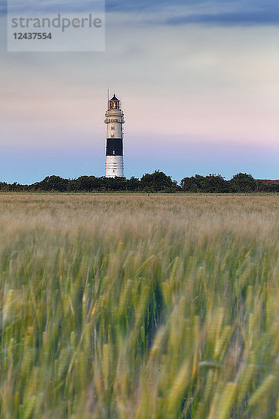 Germany  North Frisia  Sylt  Kampen lighthouse