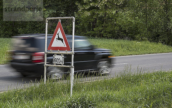 Austria  Burgenland  car and traffic sign deer crossing sign