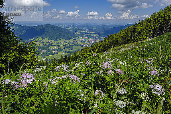 Germany  Bavaria  Upper Bavaria  Chiemgau  Unternberg  View to Ruhpolding
