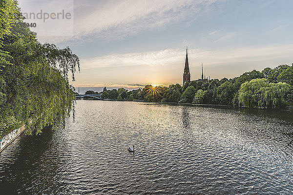 Germany  Hamburg  Kuhmuehlenteich  mute swan and view to church St. Gertrud