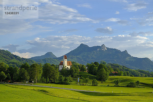 Germany  Bavaria  Upper Bavaria  Chiemgau  Grainbach  Samerberg  Heuberg