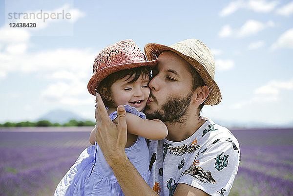 France  Provence  Valensole plateau  father kissing daughter in lavender fields in the summer
