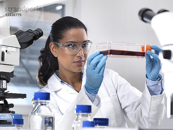 Biomedical Research  female scientist viewing stem cells developing in a culture jar during an experiment in the laboratory