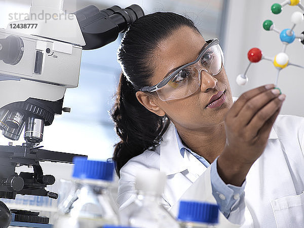 Biotechnology Research  female scientist examining a chemical formula using a ball and stick molecular model in the laboratory