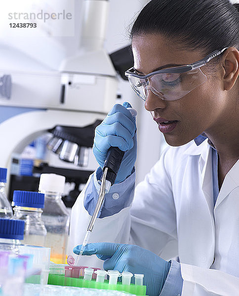 Genetic research  female scientist pipetting DNA or chemical sample into a eppendorf vial  analysis in the laboratory