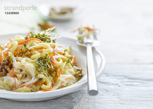 Noodle salad with carrot  walnut and cress on plate