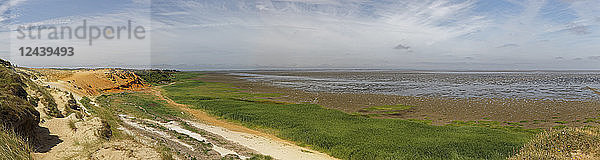 Germany  Noth Frisia  Sylt  Cliff coat near Morsum