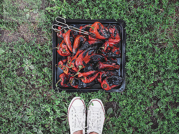 Grilled red bell peppers on a baking tray