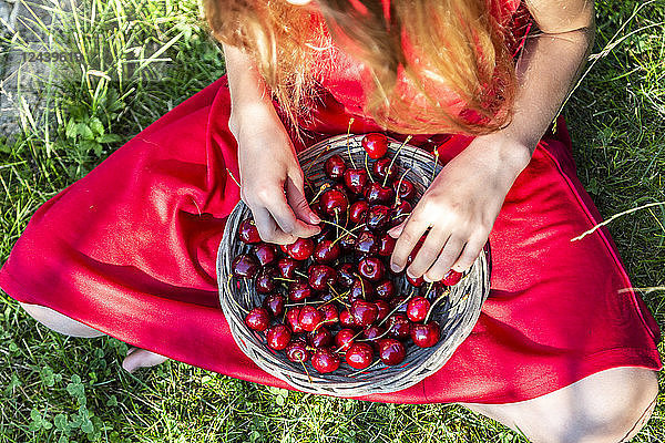 Girl with basket of cherries sitting on a meadow  partial view