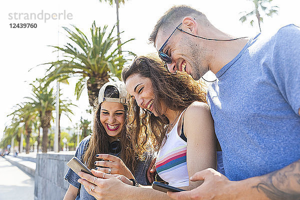 Happy friends sharing cell phone on a promenade with palms