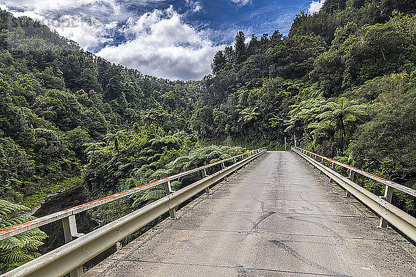 New Zealand  North Island  Taranaki  Forgotten World Highway