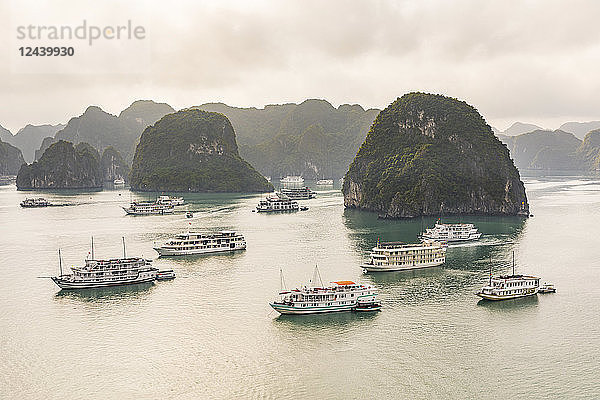 Vietnam  Ha Long bay  with limestone islands and tourboats