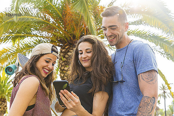 Friends sharing cell phone at a palm tree