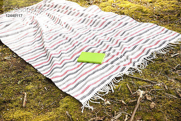 Book lying on blanket in forest