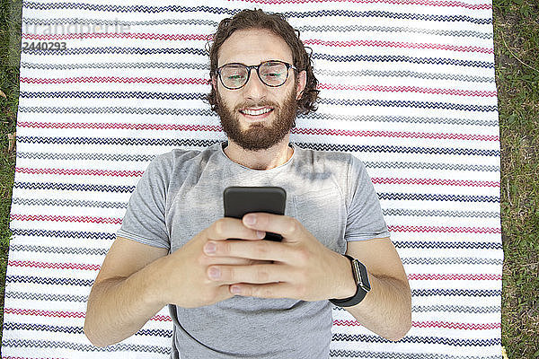 Portrait of smiling man lying on blanket in a park using cell phone  top view