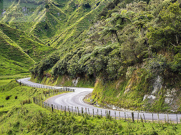 New Zealand  North Island  Manawatu-Wanganui Region  Forgotten World Highway