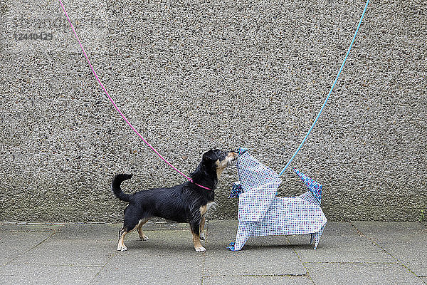 Blue origami dog and dog sniffing